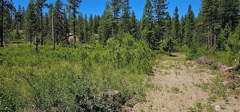 3rd image of 20 X Lynx Road