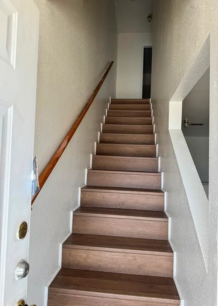 2807 Vernice Loop — Photo 4