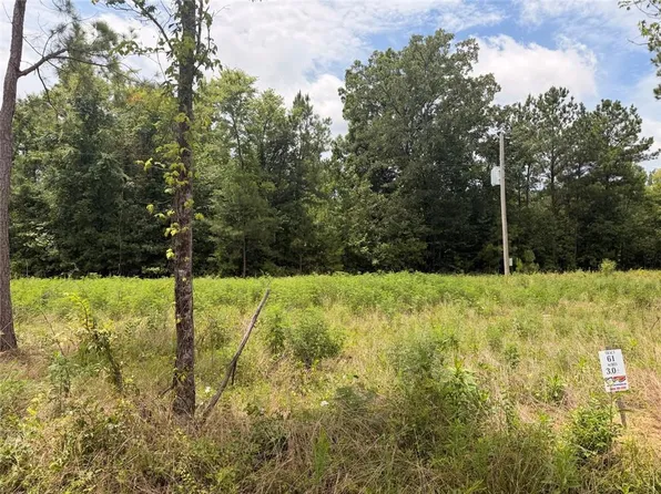 61 County Road 32 #512559, Piedmont, AL 36272