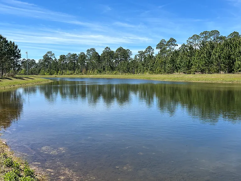 One of the 2 Ponds behind the forest at Manchester subdivision