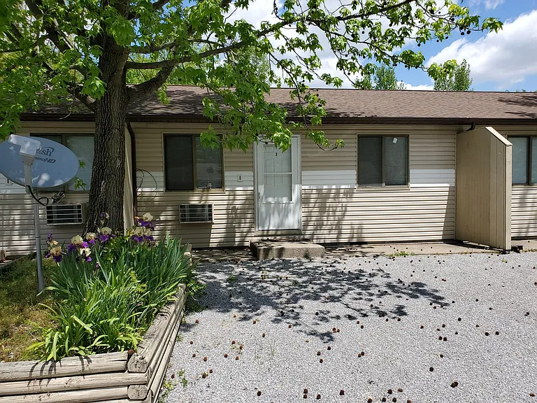 501hap — Photo 2