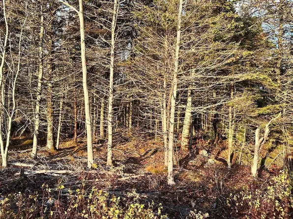 Shore Rd Lot 9, Shelburne, NS B0T 1L0