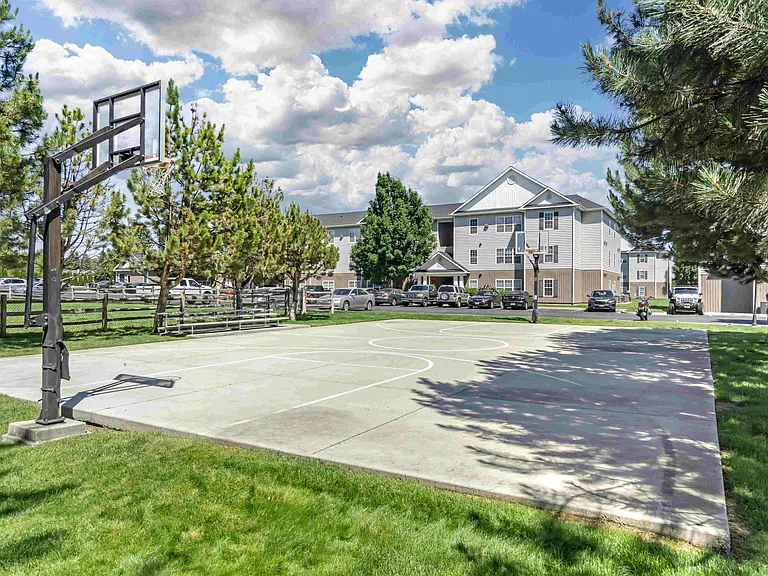 Basketball Court