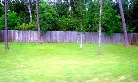 5th image of 11262 Peyton Dr
