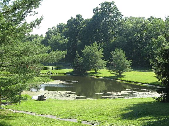 to die for views of the spring fed pond