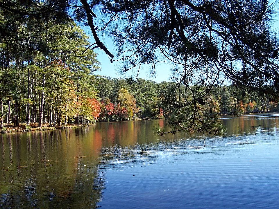 Lake from the back lawn.