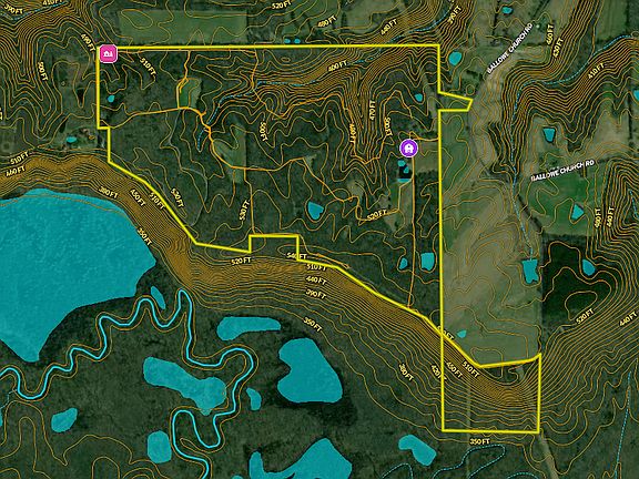 3rd image of Wildcat Bluff Rd Lot Wp001