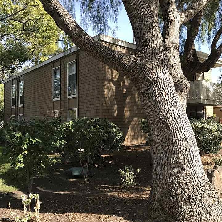 2nd image of 1919 Ygnacio Valley Rd APT 4