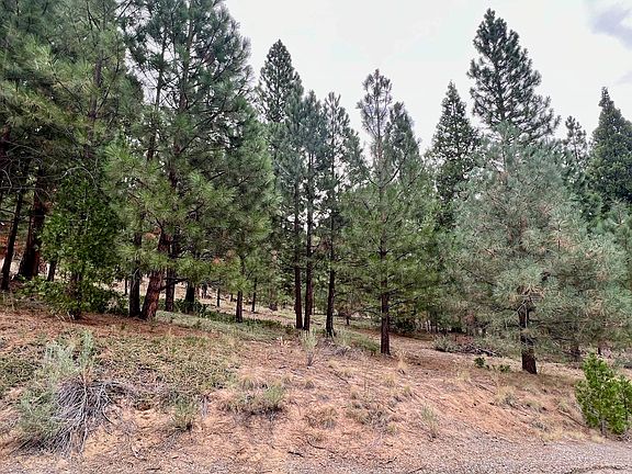 4th image of 720 Blacktail Rdg