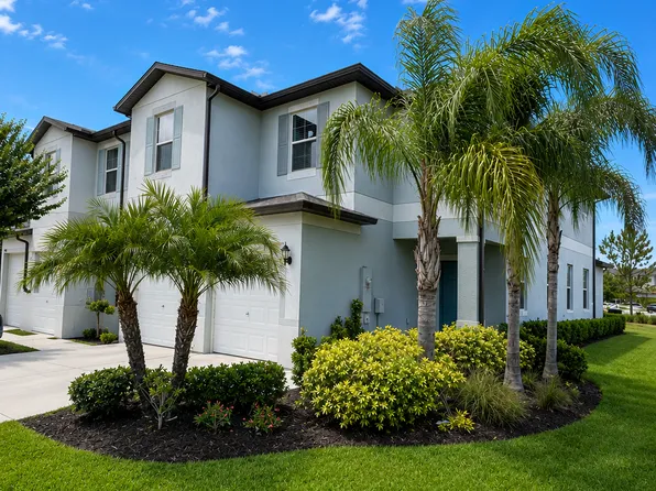 7236 Sweet Alyssum Ct, Tampa, FL 33619