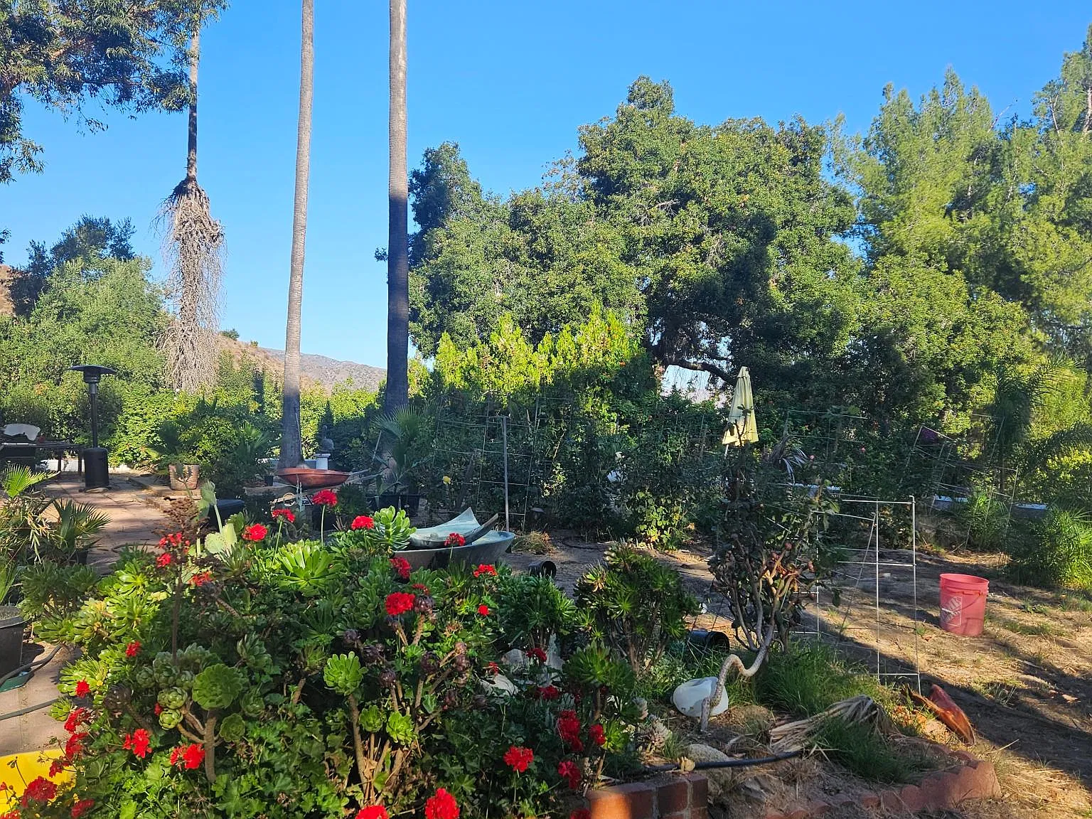 33368 Macy St — Photo 1