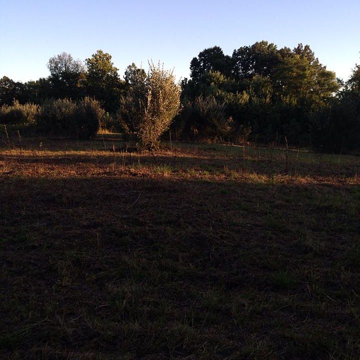 2nd image of 23705 Corinth Rd