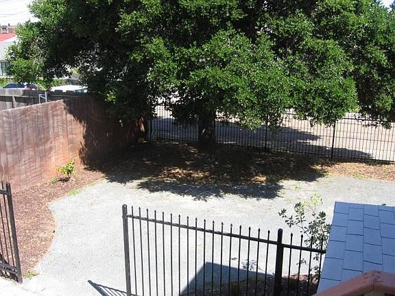 Wonderful Old Oak Tree