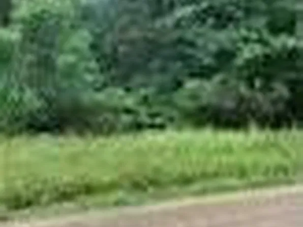 Cedar Creek Dr, Winnfield, LA 71483
