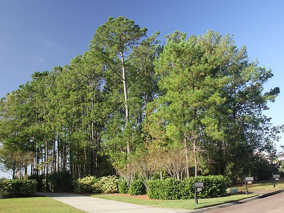 4th image of 1628 Rivertowne Country Club Dr