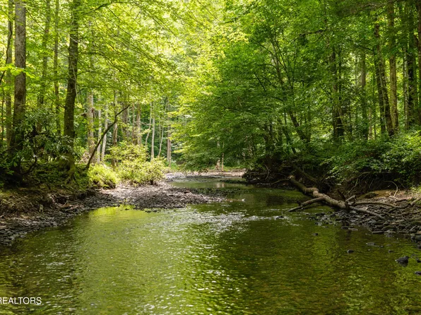 Steel Tram Ridge Ln, Crawford, TN 38554