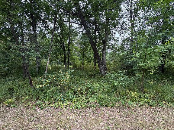 2nd image of 1 Whitetail St