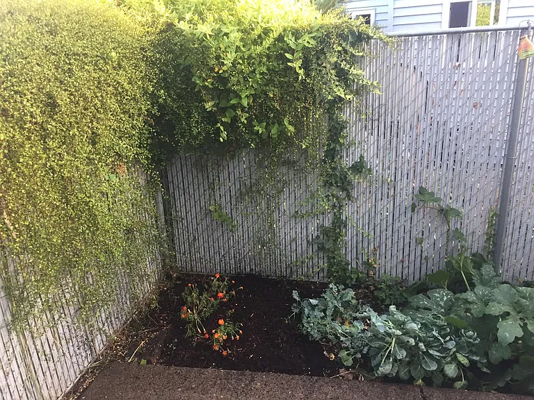 Private fenced patio area with room for gardening.