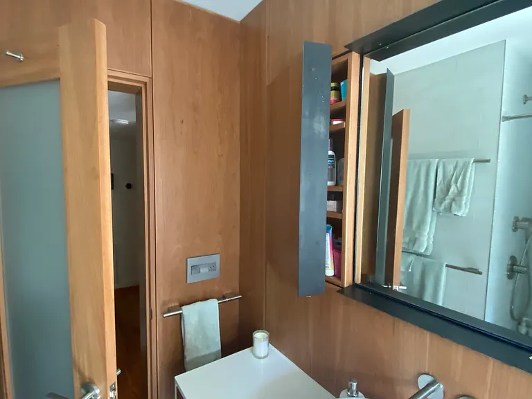 Lower bathroom, with concealed medicine cabinet visible