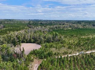 0 Ernest Carter Rd, Hazlehurst, GA 31539