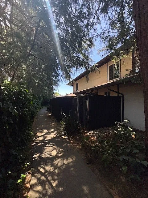 3464 Willis Dr — Photo 4