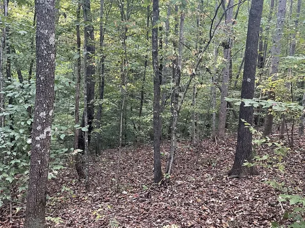 1068 Gallahar Rd, Westpoint, TN 38486