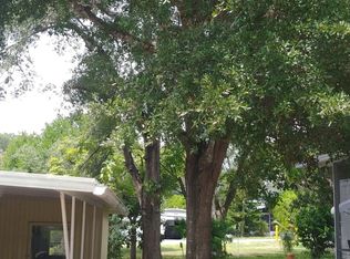 85 L Ray Ct, Mount Dora, FL 32757