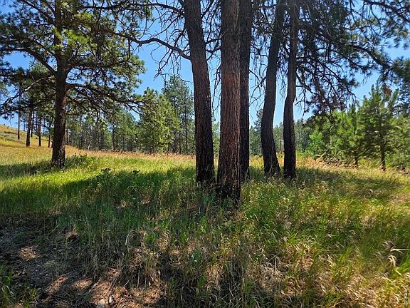 5th image of 620 Davis Ranch Rd