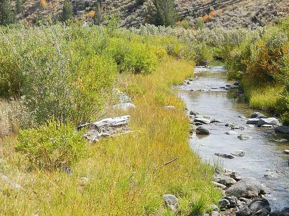 3rd image of 4342 Highway 26