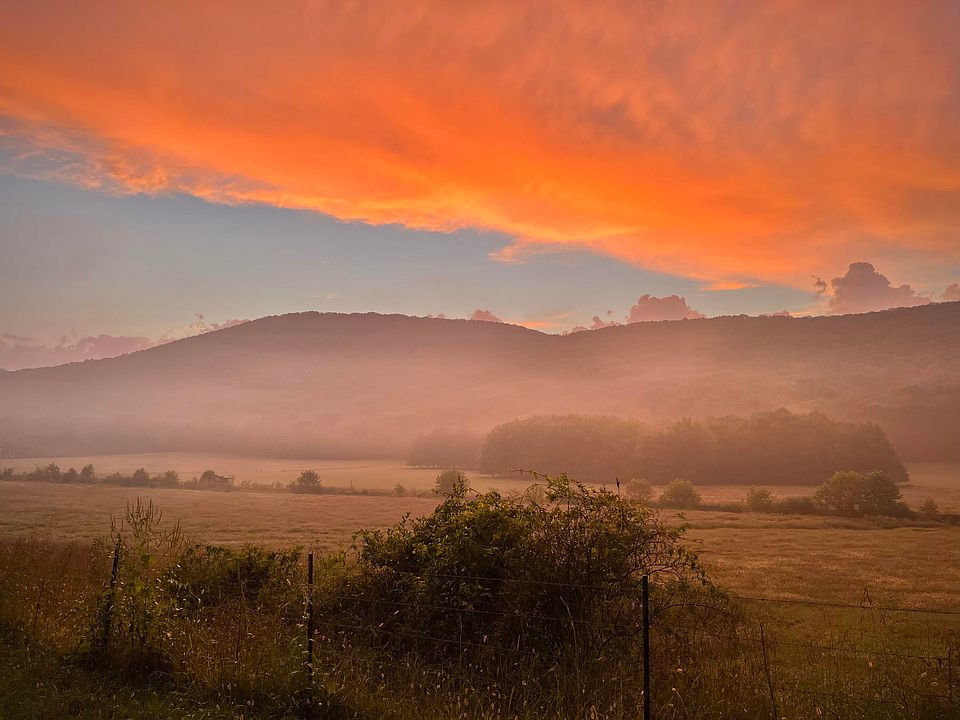 49th image of this home