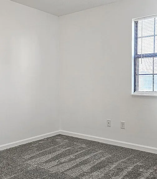 Beautifully updated 4 Bedroom/2 Bathroom downstairs apartment — Photo 14
