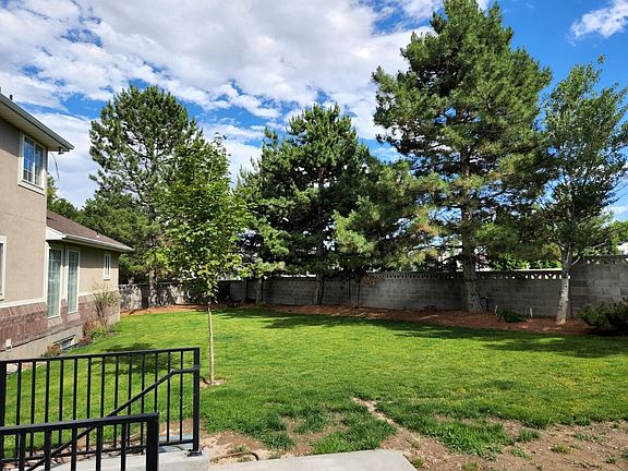 Backyard -East