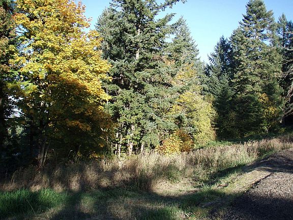 Pasture from driveway.