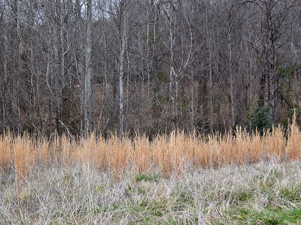 1st image of 145 Coal Creek Dr