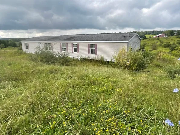 28 Arnold Rd, Lisle, NY 13797