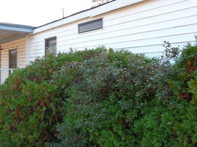 4909 Old Waynesboro Rd, Hephzibah, GA, 30815
