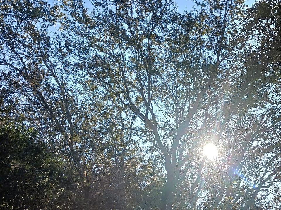 2nd image of 0000 Windinghill Road