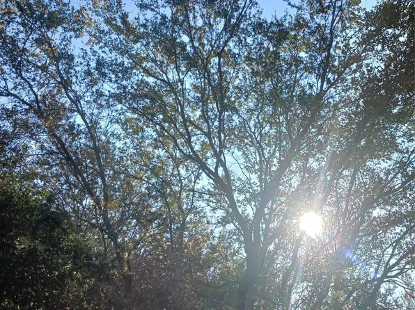 127 Orchard Avenue, FL