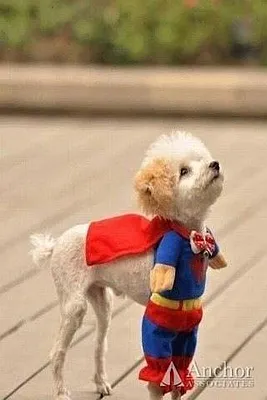 Rented by Anchor Associates | media 32