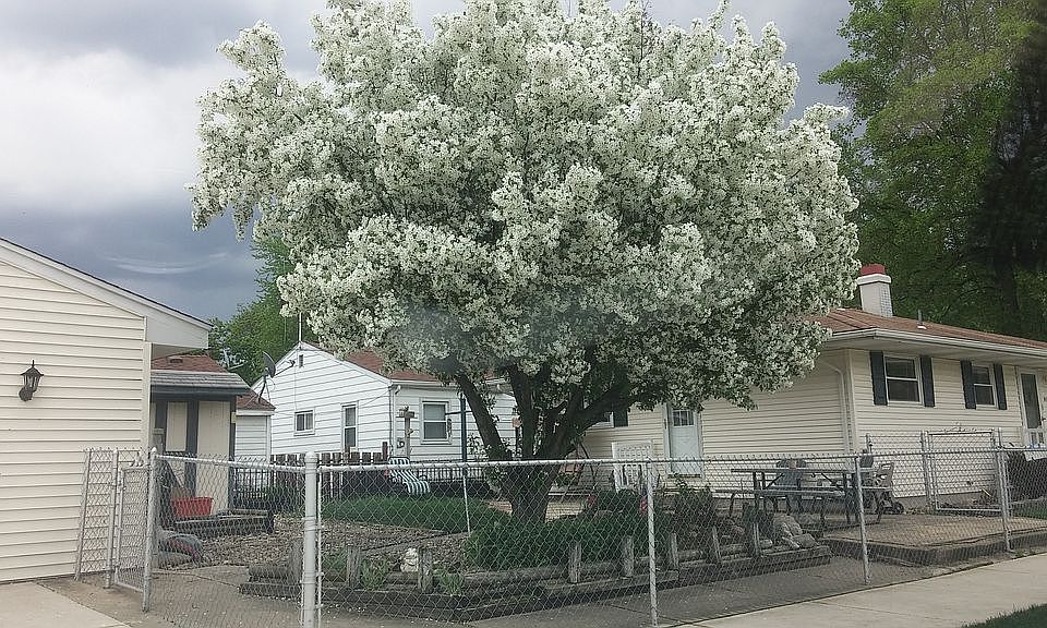 2nd image of 818 Dale Ave