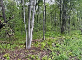 Rogers Crossing Rd #49, Carthage, NY 13619