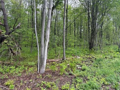 Rogers Crossing Rd #49, Carthage, NY, 13619