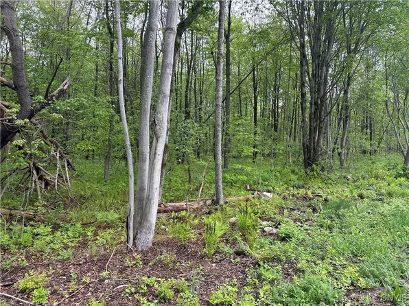 Rogers Crossing Rd #49, Carthage, NY 13619