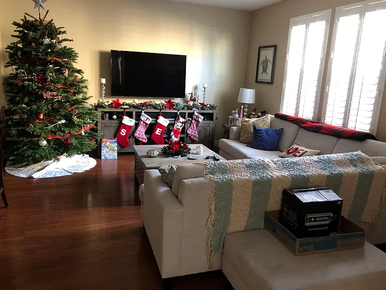 Tiger Ln — Photo 11