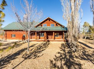 559 Palace Pkwy, Spring Creek, NV 89815