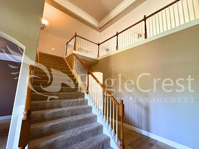 44 Vinehill Dr — Photo 22