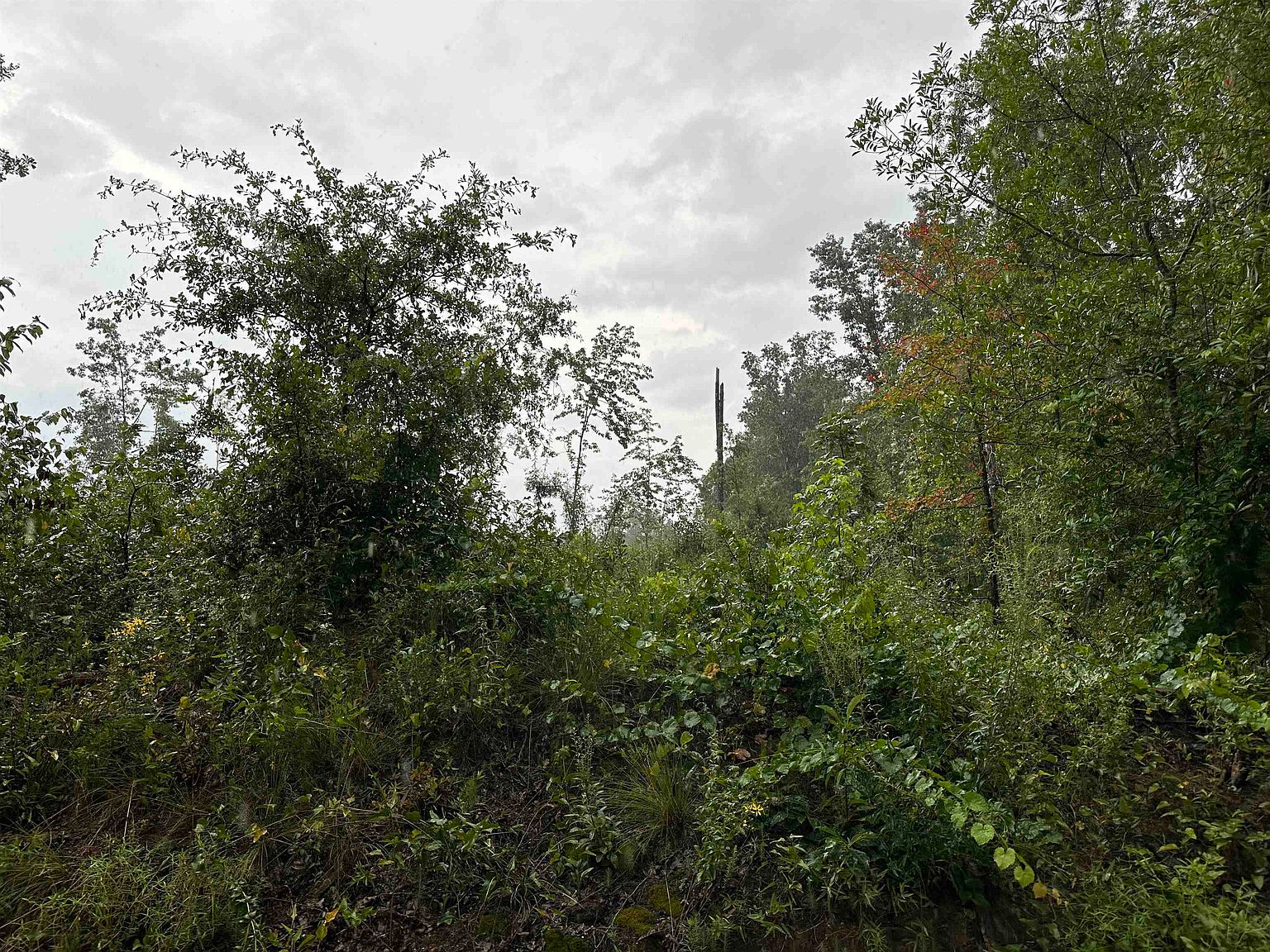 0 District Rd, Jeffersonville, GA 31044 MLS 20137877 Zillow