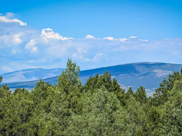 00 Forest Rd 9, Lama, NM 87556