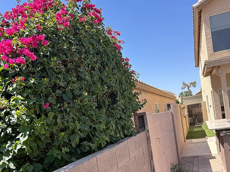 4753 E Bighorn Ave — Photo 42