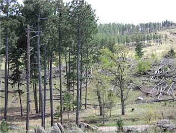 2nd image of 13470 Shelter Dr